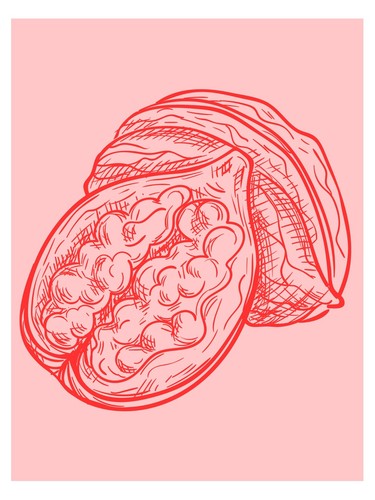Fruchtillustration pop art - fruchtillustration,