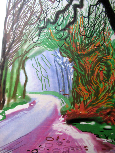 David hockney lithographie - david,